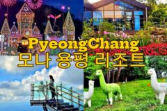 강원도 리조트 모나 용평 리조트 가볼만한 곳 발왕산기케이블카 외