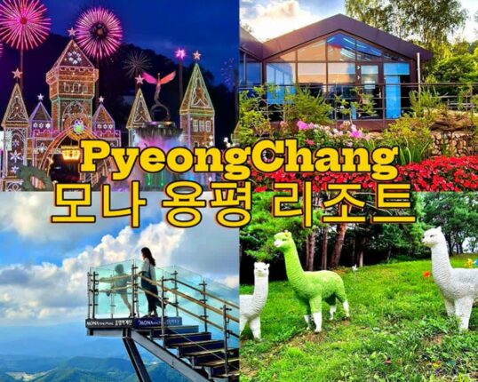 강원도 리조트 모나 용평 리조트 가볼만한 곳 발왕산기케이블카 외