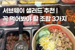 서브웨이 타코샐러드 단종 눈물머금고 다이어트 샐러드 추천