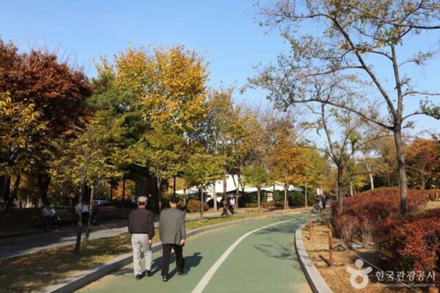 올 가을 여의도, 한강공원과 더현대서울에서 즐기는 맛깔난 하루