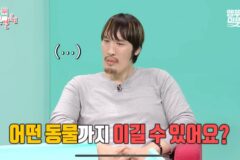 최홍만이 말하는 최홍만 vs 동물