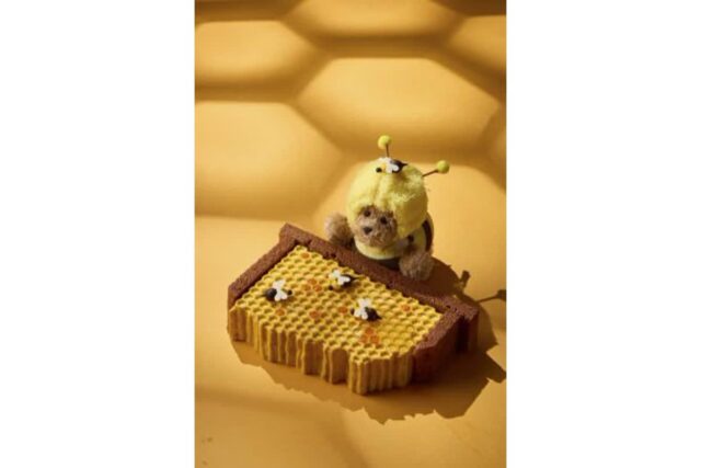 그랜드 하얏트 서울, 도심 속 자연의 맛 담은 ‘Honeycomb Delight Cake’ 출시