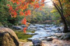 “천년 숲에 가을이 내려앉다” 산 전체가 빨갛게 물드는 등산 명소