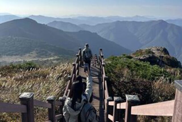 “17만 평 억새 천국을 케이블카 타고 편하게 오른다” 단풍보다 강렬한 밀양 여행지