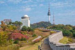 남산 둘레길로 떠나는 11월 가을 소풍…투어, 공예, 가드닝, 공연 등 체험·전시도 풍성