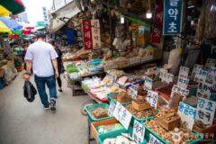 천고인비(天高人肥)의 계절 보신(補身) 여행지 서울 제기동
