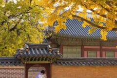 “SNS 검색량 급증!” 인기 폭발 서울 단풍 명소 베스트 10