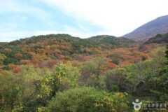 빛고을 광주, 푸른 산과 맛있는 이야기가 어우러진 하루