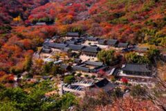 “마! 이거 부산 단풍 아이가?!” 훌륭한 부산 가을 여행지 Best 4