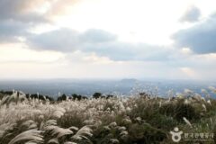 한라산 자락과 해안 절경이 어우러진 제주도 자연 명소 탐방
