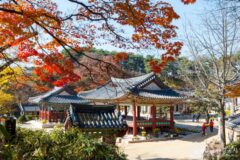 아이와 함께 즐기는 여주 명소 여행, 자연 속 체험과 배움의 시간