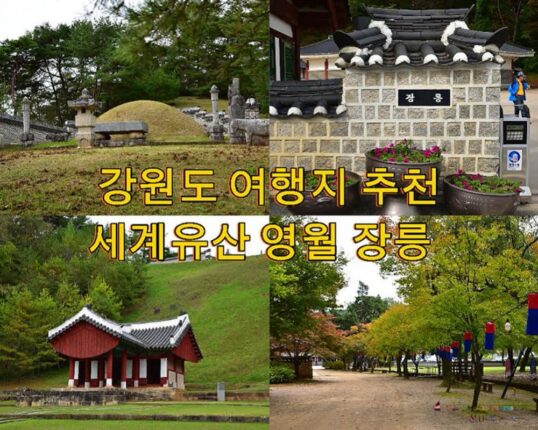 강원도 여행지 추천 영월 장릉 단풍 가을 여행지
