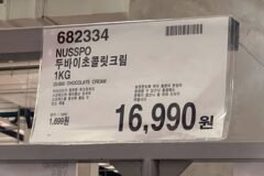 코스트코 신상 아이템