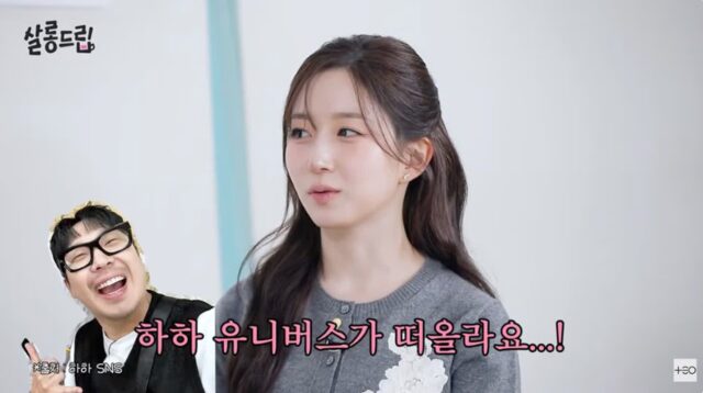 하하버스 실사판이라는 엔믹스 릴리