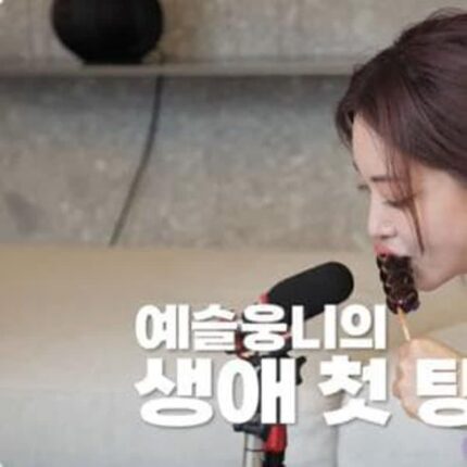 대세 MZ간식부터 탕후루 처음 먹어본 한예슬