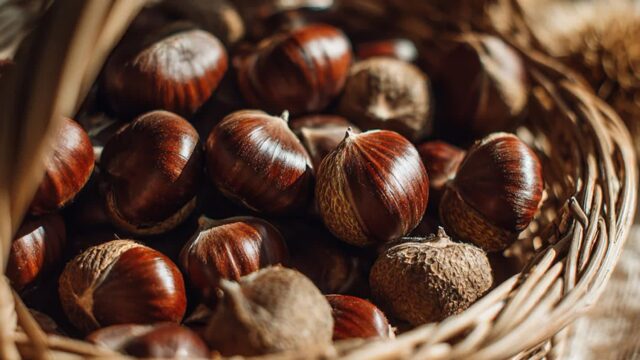 밤 오래 보관하는 법, 곰팡이 절대 안 생기게 하는 꿀팁 공개합니다