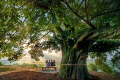 “이보다 완벽한 11월은 없다” 이달의 생태관광지 선정 898ha규모 가을에 가기 좋은 여행지