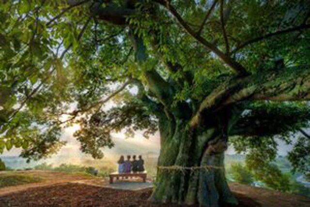 “이보다 완벽한 11월은 없다” 이달의 생태관광지 선정 898ha규모 가을에 가기 좋은 여행지