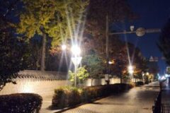 “싸웠던 연인도 손잡고 돌아가게 만드는 곳” 지금 떠나면 이득인 가을 전주 여행지