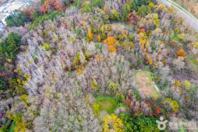 자연 속에서 사색과 미식을 즐기는 영덕여행