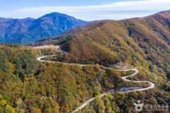 남원 가볼 만한 곳, 고즈넉한 풍경 속에서 찾는 가을의 여유