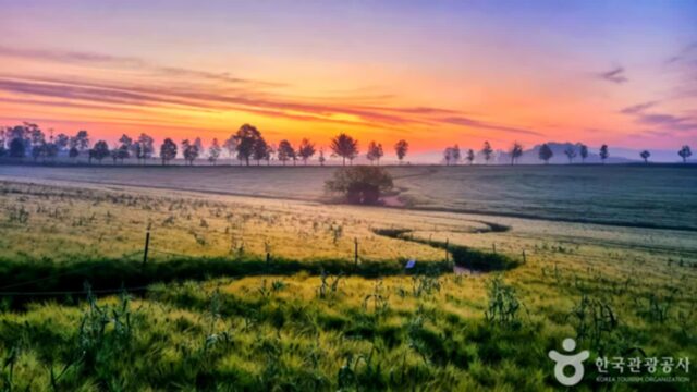 전북 고창 가볼 만한 곳, 드넓은 들판과 유서 깊은 역사가 숨 쉬는 공간