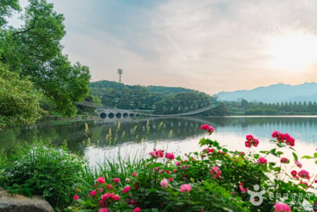 과천의 숲길 따라 걷는 이야기, 자연과 문화의 조화