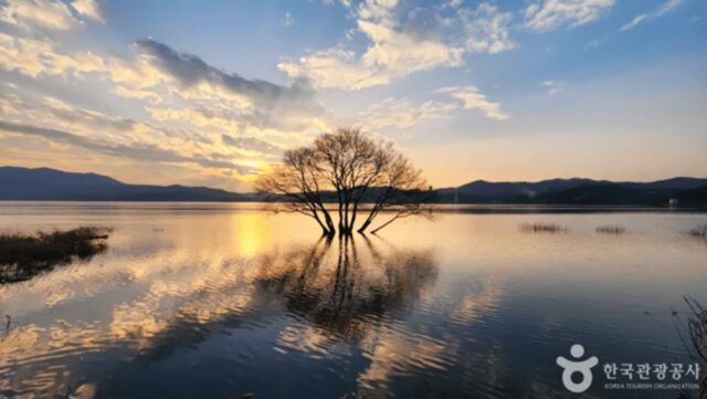 충남 예산 가볼 만한 곳, 예당호의 풍경과 미식이 어우러진 가을날