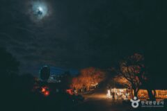 가을 제주 여행, 빛과 바람이 건네는 문화와 예술의 속삭임