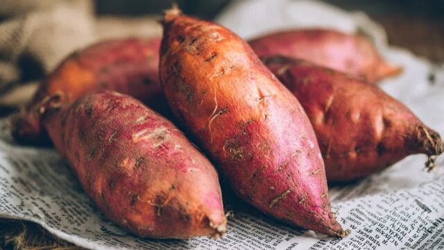 고구마 보관법, 실온에서도 한 달 거뜬한 방법을 공개합니다