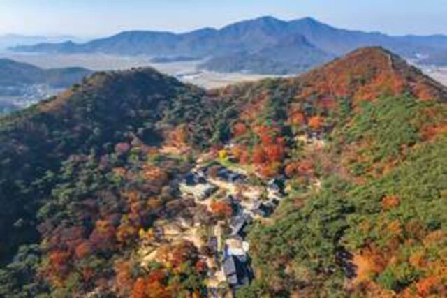 “늦으면 국물도 없어요” 지금가야할 강화도 가볼 만한 곳 4선