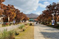 “한 시간 거리도 안되는데 이런 단풍맛집이?” 동물·호수·가을 모두 담아낸 서울 근교 단풍 명소