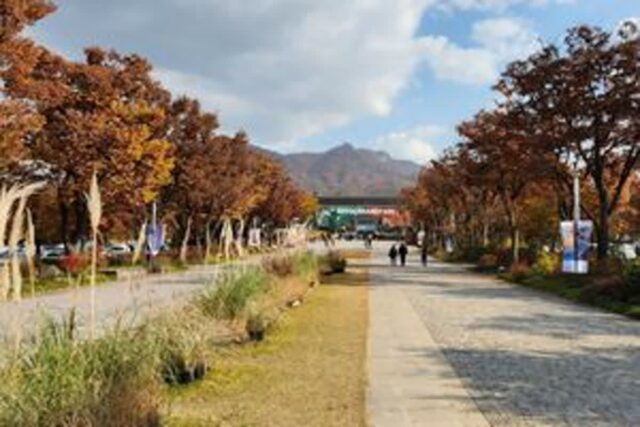 “한 시간 거리도 안되는데 이런 단풍맛집이?” 동물·호수·가을 모두 담아낸 서울 근교 단풍 명소