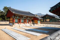 김해 가볼 만한 곳, 가을 햇살 아래 역사와 미식을 만끽하는 시간