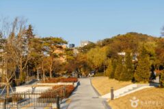 서울 관악구 가볼 만한 곳, 지성과 예술이 숨 쉬는 캠퍼스 주변의 가을 풍경