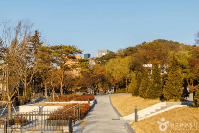 서울 관악구 가볼 만한 곳, 지성과 예술이 숨 쉬는 캠퍼스 주변의 가을 풍경