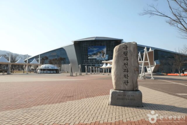 경기 과천 가볼 만한 곳, 미디어아트와 미식으로 물드는 여정