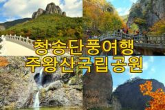 청송 가볼만한 곳 주왕산 단풍 절정 시기 용추협곡 용연폭포 절구폭포 주왕암 등산 코스