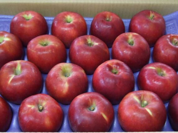 이 과일은 껍질째 먹어야 합니다, 버리면 보약을 버리는 셈입니다