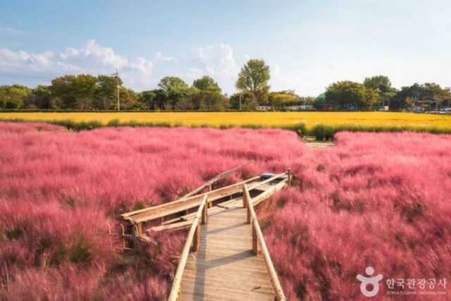평택 가볼 만한 곳, 고요한 자연 속에서 만나는 활력의 공간