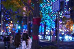 “솔직히 교토보다 낫습니다” 11~12월 오사카 가볼 만한 곳 5