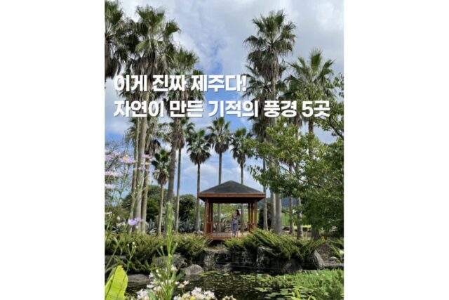 제주도 여행에 안 넣으면 후회! 자연이 빚은 절경 TOP 5