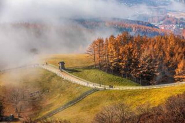 “김장만 담그고 돌아오기엔 너무 아깝다” 로컬 추천 진짜 평창 가볼 만한 곳 5