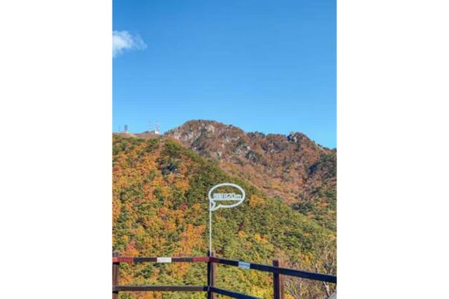 팔공산 단풍, 이렇게까지 빨개진 적 있었나요? 오는 주말 절정 폭발