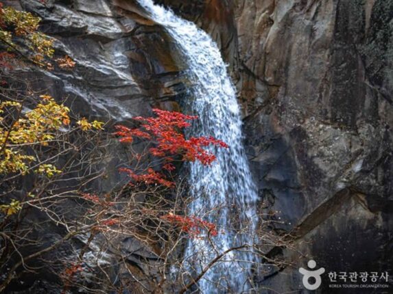 철원의 폭포·브런치·도넛까지!…가을에 가면 더 좋은 여행코스 완전정복