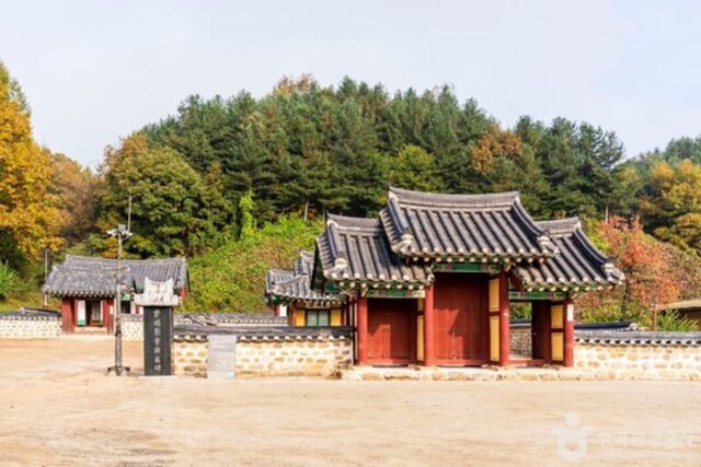 가을 제천 명소, 푸른 하늘 아래 펼쳐지는 미식과 풍경의 조화