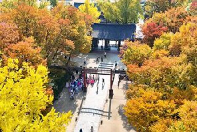 오색 단풍 이번 주말 ‘절정’이래요…현지인도 놀란 전주 관광지 베스트