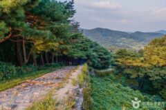 산성, 동물원, 그리고 감성적인 카페까지…다채로운 매력 품은 청주 가을 여행지