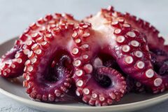 “겨울철에 아주 좋습니다” 문어 단백질 함유량, 문어의 효능