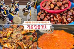 가을 여행 추천 무주 반딧불 시장 & 가을 단풍 명소